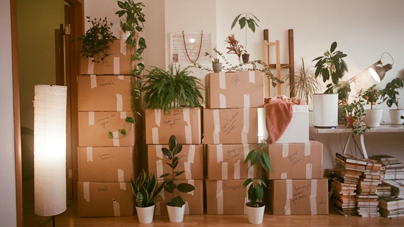 A room full of packed boxes during a house clearance